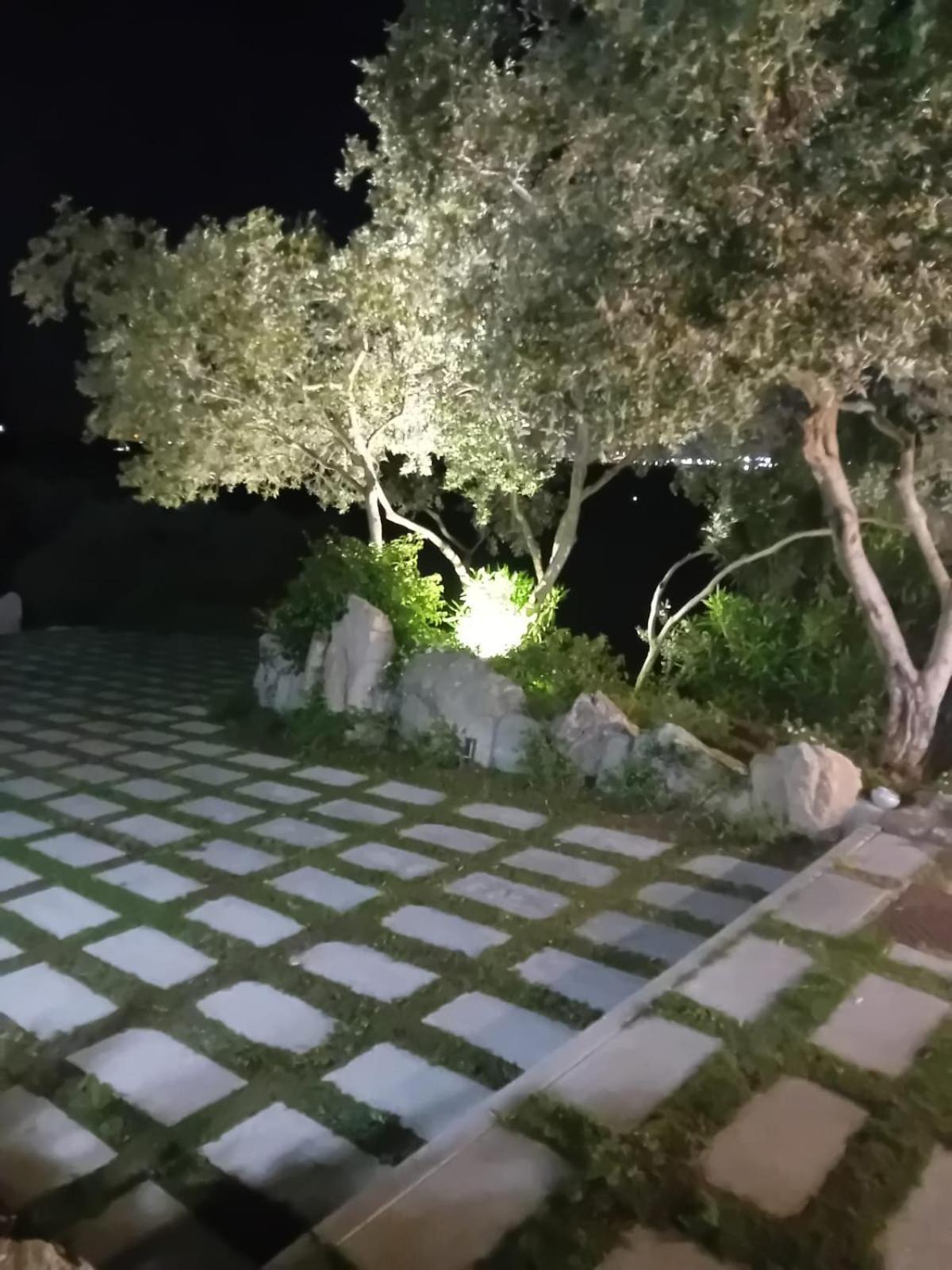 Li Petri Manni Bed & Breakfast Olbia Ngoại thất bức ảnh